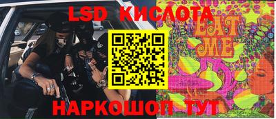 ECSTASY Гай