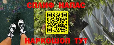 СК Гагарин