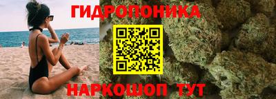 прущие грибы Гатчина