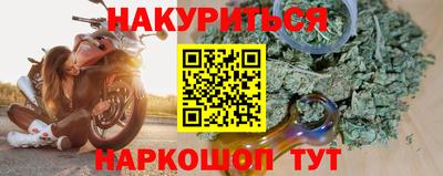 прущие грибы Гатчина