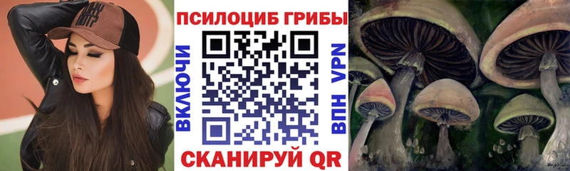 Псилоцибиновые грибы Magic Shrooms  Корсаков 