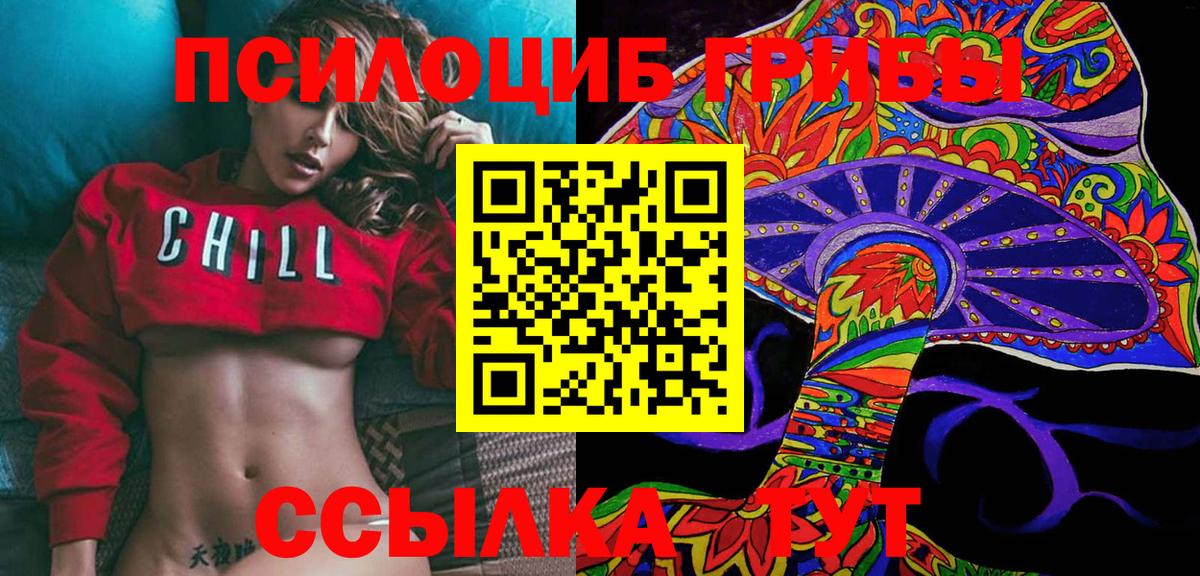 где купить наркоту  Галлюциногенные грибы MAGIC MUSHROOMS  Вход с VPN  Галлюциногенные грибы Psilocybe  Корсаков 