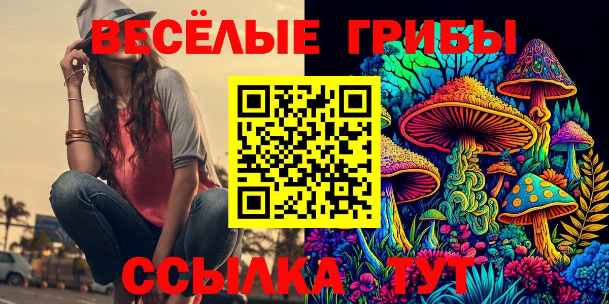 Галлюциногенные грибы прущие грибы Корсаков